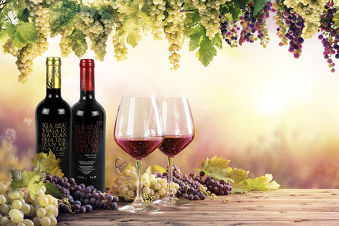 ¿Qué vino combina mejor con el jamón?