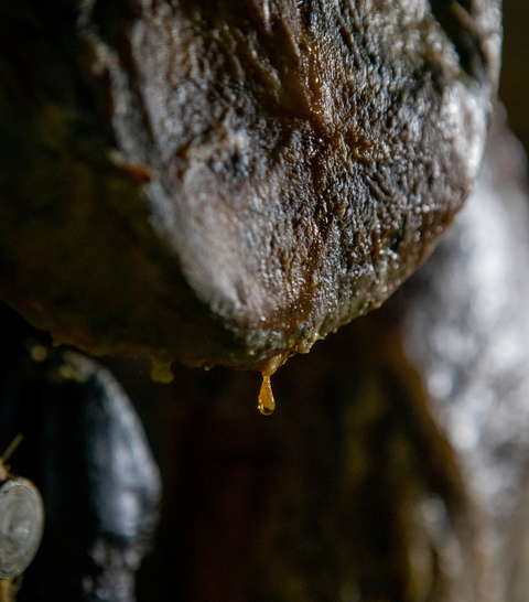 Jamón de Bellota 100% Ibérico D.O.P