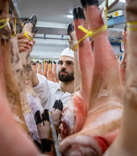 Jamón de Bellota 100% Ibérico D.O.P