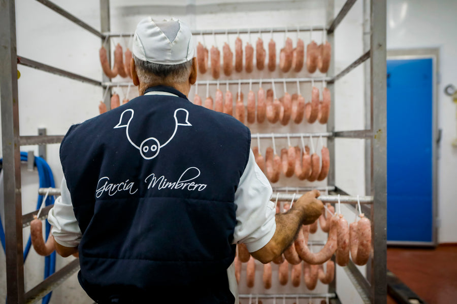 Cerdo ibérico en la dehesa extremeña