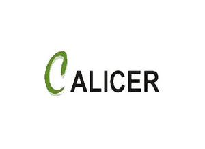 CACILER